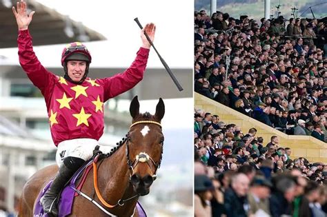 cheltenham festival 2022 full results.